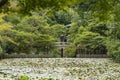 Kyoyochi Pond RyÃÂan-ji Kyoto Japan